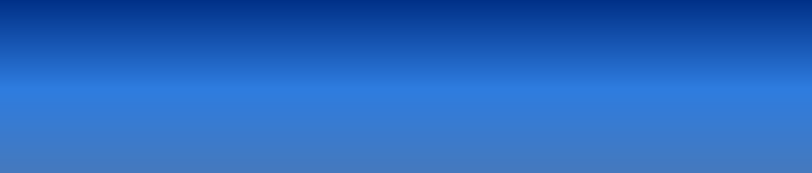 apin-banner.png